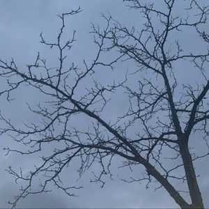 Meet your Posher, Sena